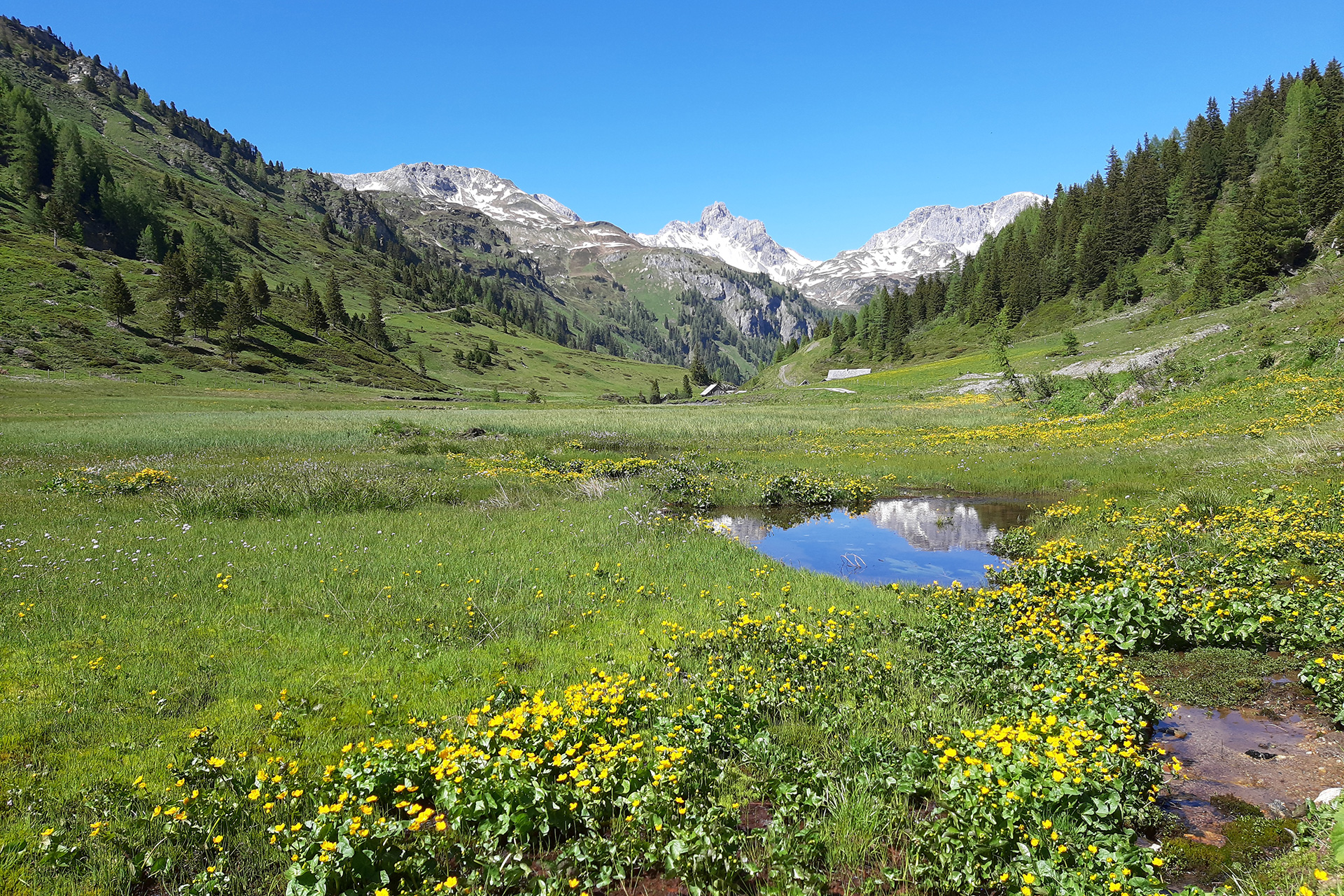 Naturpark Riedingtal